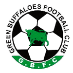 Зеленые Буйволы logo