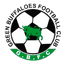 Зеленые Буйволы logo