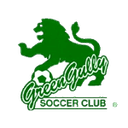 Away team logo