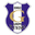 Away team logo