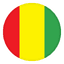 Гвинея logo