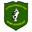 Home team logo