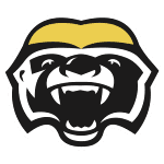 Брамптон Хани Бэджерс logo