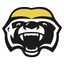 Brampton Honey Badgers
