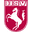 Home team logo