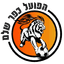 teamLogo