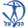 Home team logo