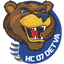 teamLogo