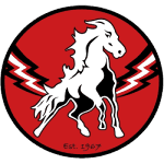 ХК Вита Хастен logo