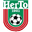 Home team logo