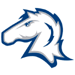 home team logo