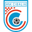 teamLogo