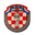 Home team logo