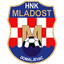 ХНК Младост Домалевац logo