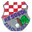 Home team logo