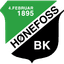 Хёнефосс БК logo
