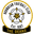 Home team logo