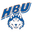 Home team logo