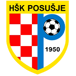 НК Посушье logo