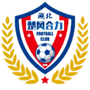 Home Team logo