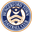 Home team logo