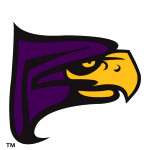 home team logo
