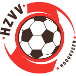 HZVV logo