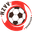 Home team logo