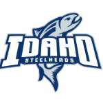 Айдахо Стилхедс logo