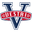 Home team logo