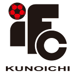 Ига Куноичи logo