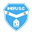 Home team logo