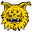 Home team logo