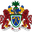 Home team logo