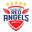 Home team logo
