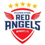 teamLogo