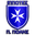 Home team logo