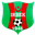 Home team logo
