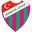 Home team logo