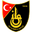 Home team logo