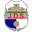 Home team logo