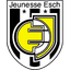 teamLogo