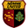 Home team logo