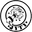 Home team logo