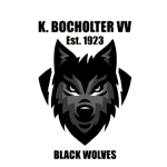 К. Бохолтер ВВ