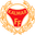 Home team logo