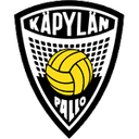 Away team logo