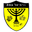 Home team logo