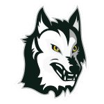 away team logo