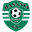 Home team logo